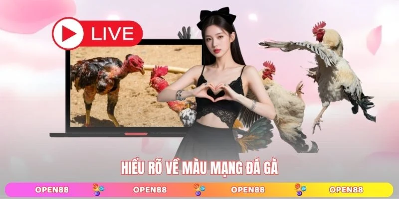 Hiểu rõ về màu mạng đá gà